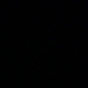 Meet your Posher, Raquel